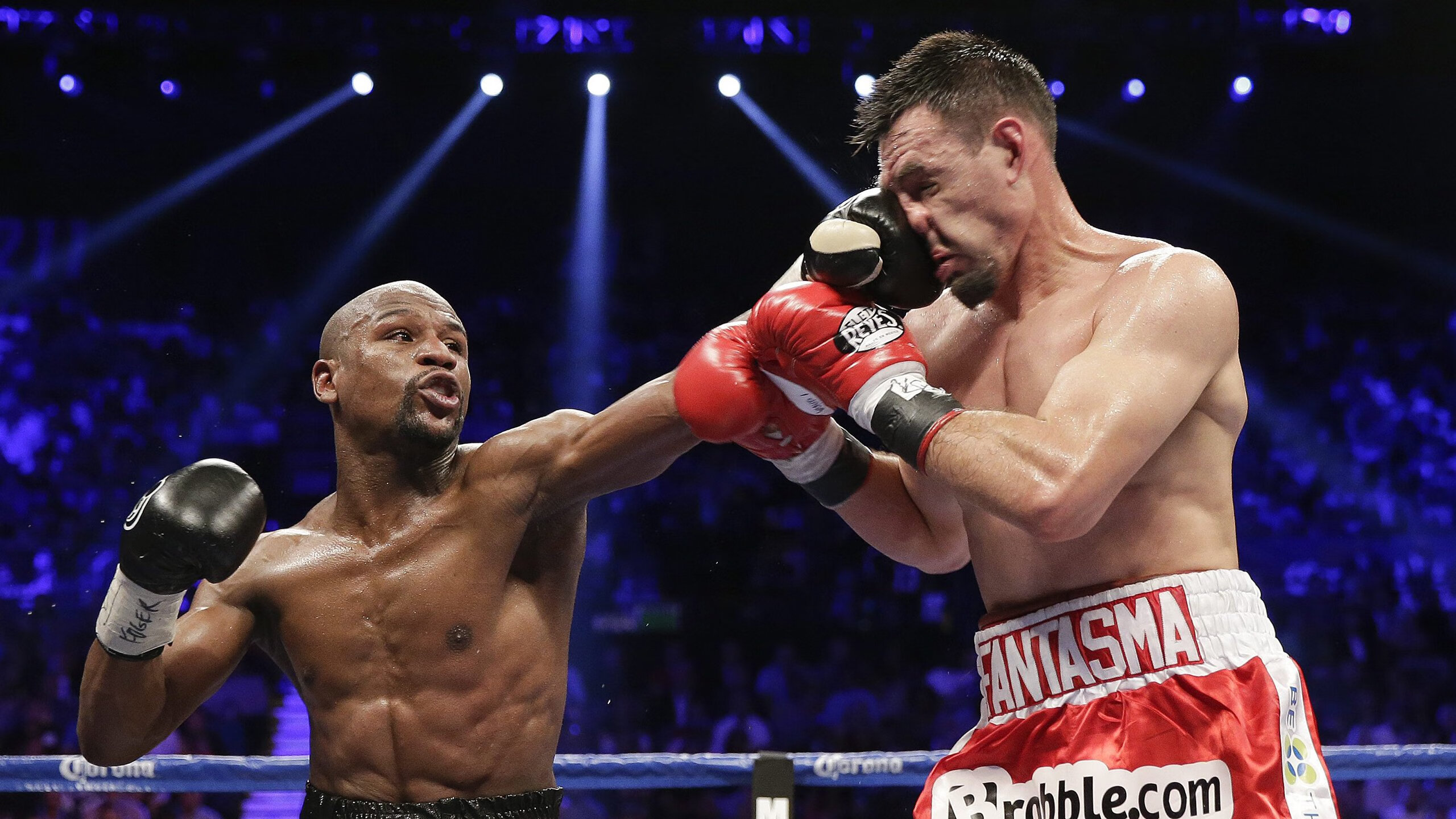 钢铁战车碾碎东欧铁骑，不老传奇波尔再书乒坛新篇